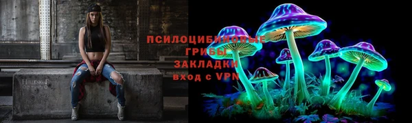 стафф Гусиноозёрск